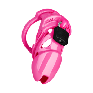 Chastity Standard