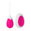 Remote Controll Egg