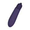 Aubergine-Minivibrator