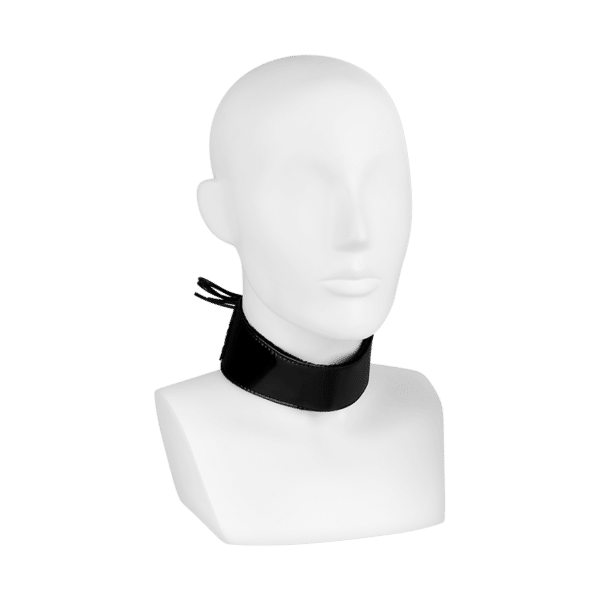 Halsband in Lackoptik