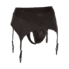 Thong with Garter