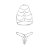 Massiver Kettenbikini