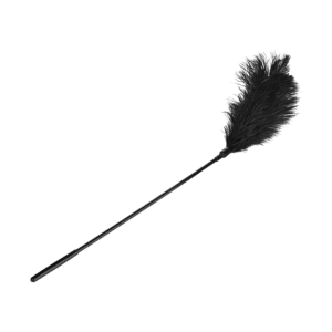 Large Feather Tickler