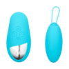 Spot - Wireless Duo Egg