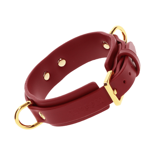 D-Ring Collar Deluxe