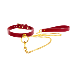 O-Ring Collar and Chain Leash