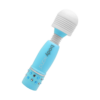Mini Massager